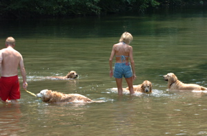 DSC_0111.JPG