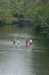 DSC_0057.JPG