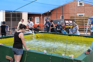 IMG_2745.JPG