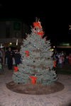 IMG_0878.JPG