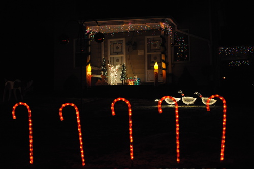 DSC_5373.JPG