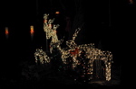 DSC_5362.JPG