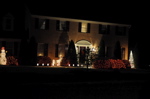 DSC_5383.JPG