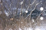 DSC_0001.JPG
