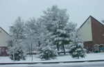 DSC_0009.JPG