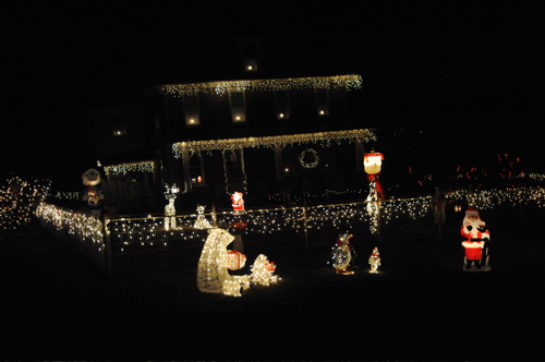 DSC_6482.JPG