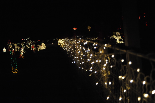 DSC_6491.JPG