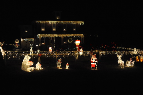 DSC_6498.JPG