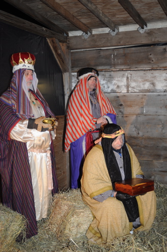 DSC_6510.JPG