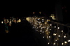 DSC_6491.JPG