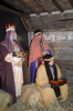 DSC_6510.JPG