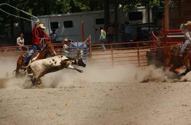 DSC_0031.JPG