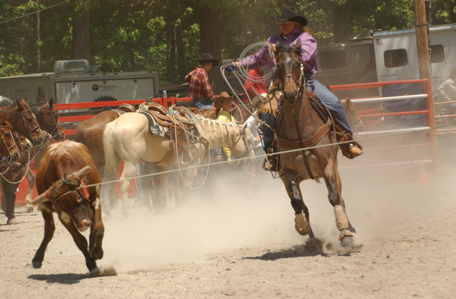 DSC_0040.JPG
