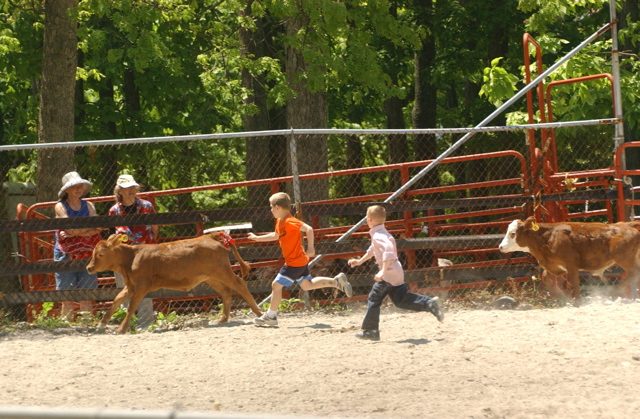 DSC_0065.JPG