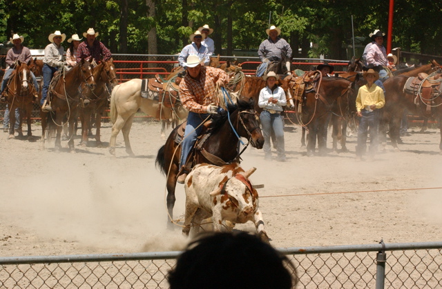 DSC_0007.JPG