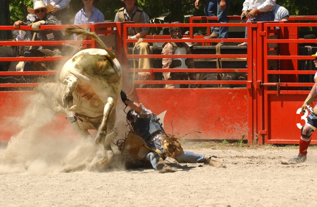 DSC_0077.JPG