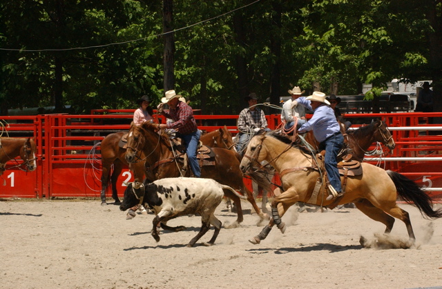 DSC_0013.JPG