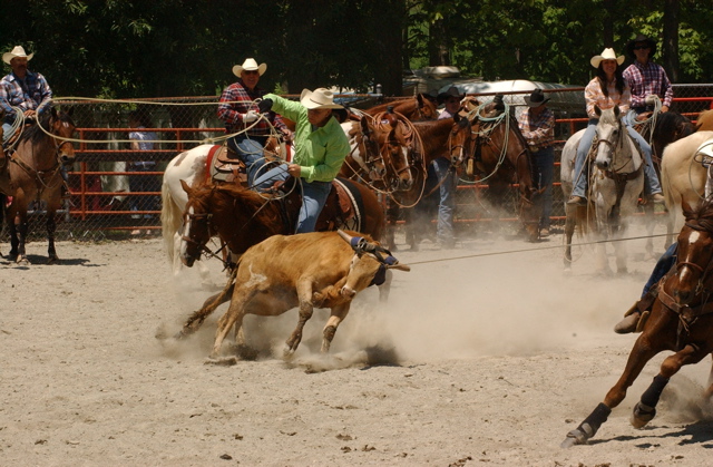 DSC_0020.JPG