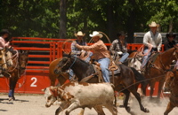 DSC_0006.JPG
