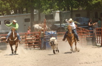 DSC_0035.JPG