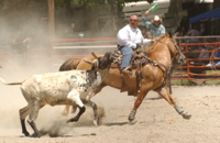 DSC_0036.JPG