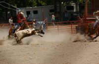 DSC_0031.JPG