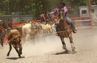 DSC_0040.JPG
