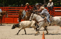 DSC_0049.JPG