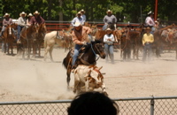 DSC_0007.JPG