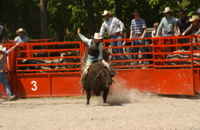 DSC_0073.JPG
