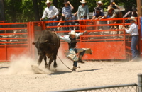 DSC_0074.JPG