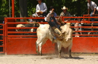 DSC_0075.JPG