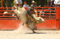 DSC_0076.JPG