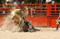DSC_0077.JPG