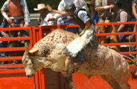 DSC_0088.JPG