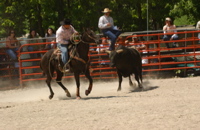 DSC_0101.JPG