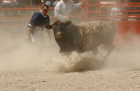 DSC_0128.JPG