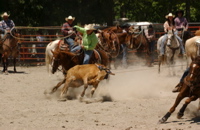DSC_0020.JPG