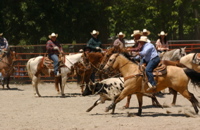 DSC_0014.JPG