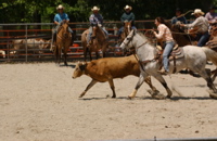 DSC_0027.JPG