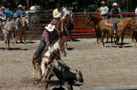 DSC_0022.JPG