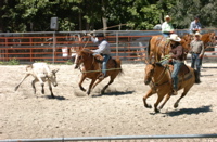DSC_0024.JPG