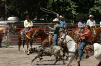 DSC_0026.JPG
