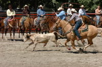 DSC_0027.JPG