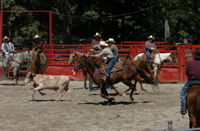 DSC_0008.JPG
