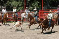DSC_0009.JPG